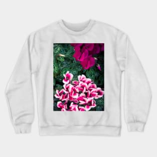 Purple Cyclamen Plants Flowers Crewneck Sweatshirt